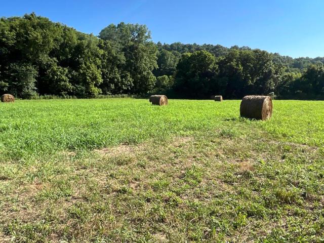 Farm for sale in Trimble, Kentucky