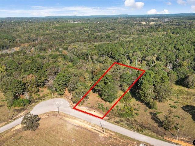 Land for sale in Big Sandy, Texas