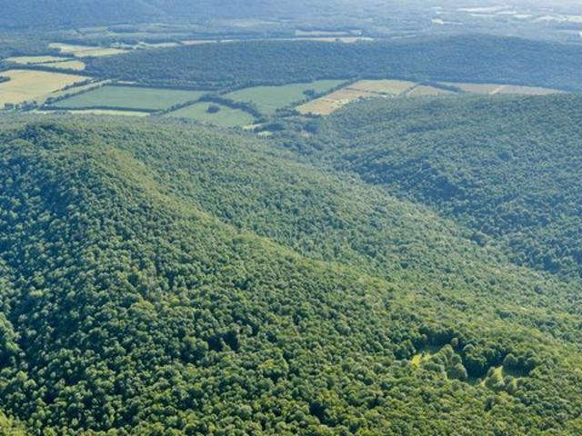 Land for sale in Stevenson, Alabama