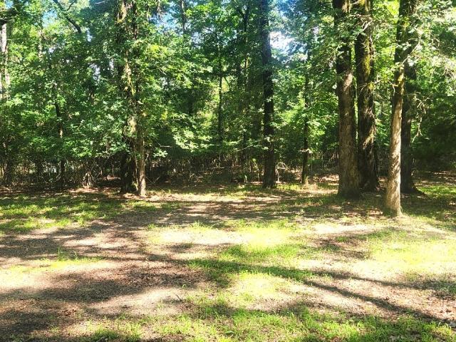 House for sale in Marion, Texas
