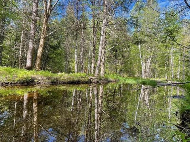 Land for sale in Blair, Jackman