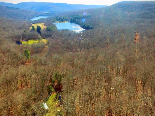 Property for sale in Andes, New York
