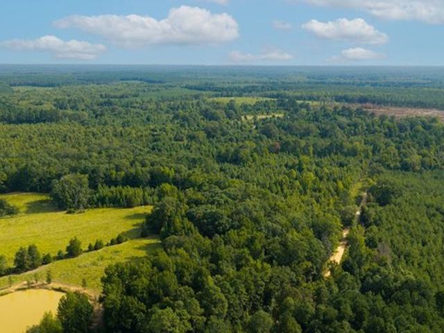Land for sale in Ark