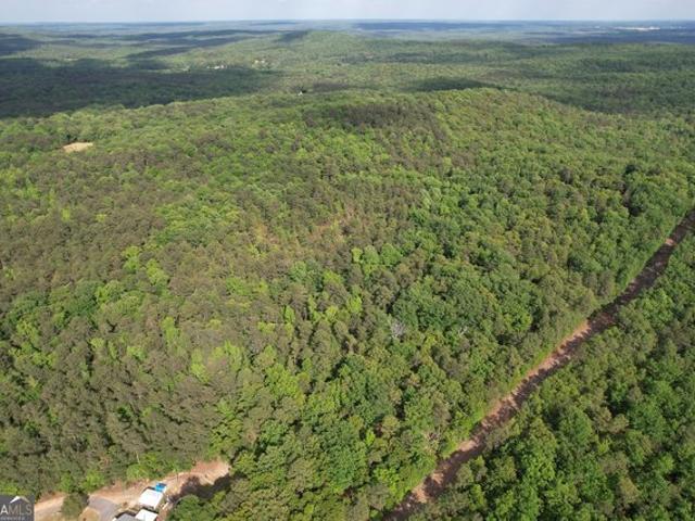Land for sale in Georgia