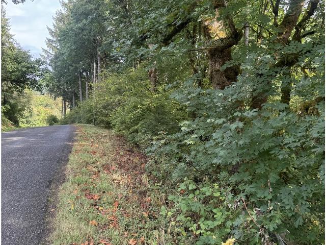 Land for sale in La Center, Washington