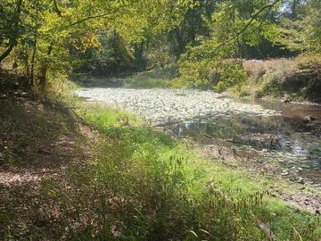Land for sale in Poyen, Grant County