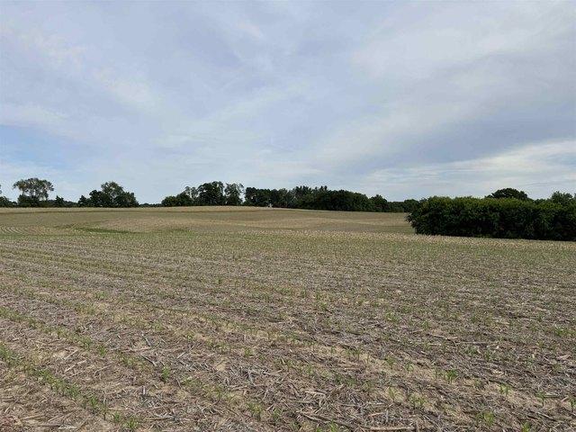 Land for sale in Loganville, Wisconsin