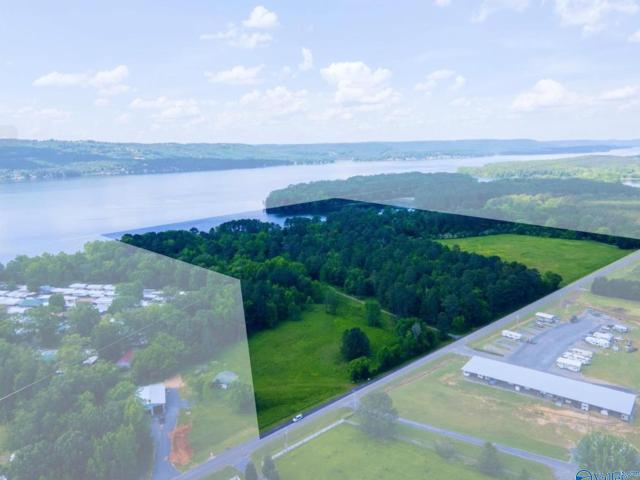 Land for sale in Langston, Alabama