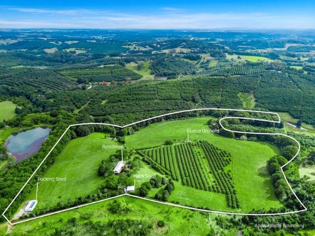 House for sale in Newrybar, New South Wales