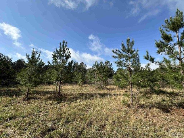 Land for sale in Frisco City, Monroe County