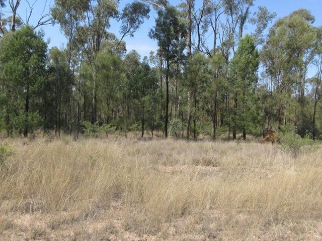 Cottage for sale in Tara, Queensland
