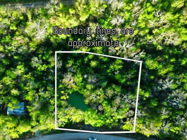 Land for sale in Mound City, Linn County