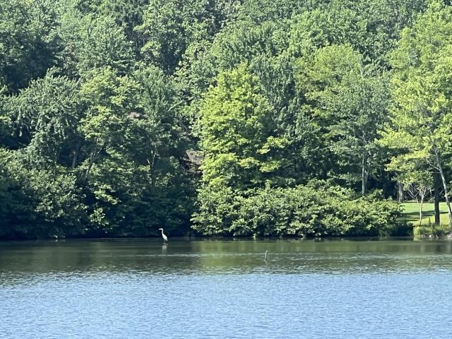 Land for sale in Tennessee