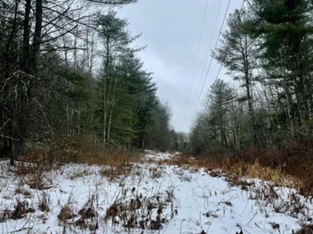Land for sale in Little Meadows, Pennsylvania