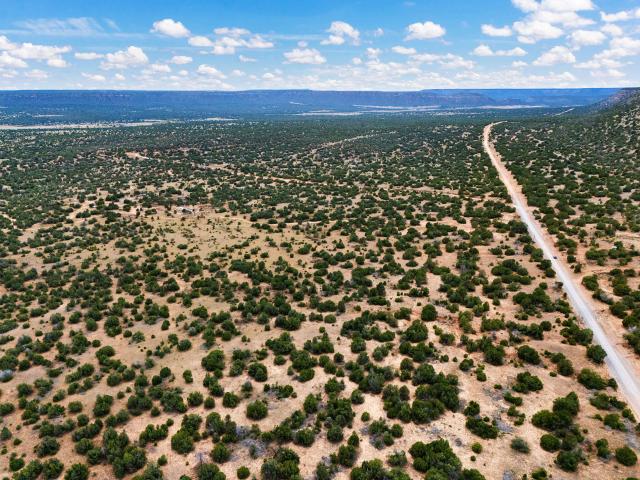 Land for sale in Ribera, New Mexico