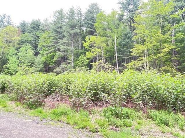 Land for sale in Johnson City, New York