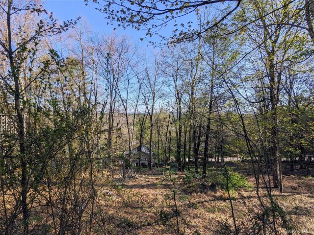 House for sale in Bethel, New York
