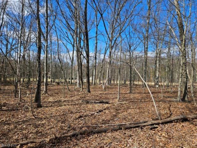 Land for sale in Ringoes, New Jersey