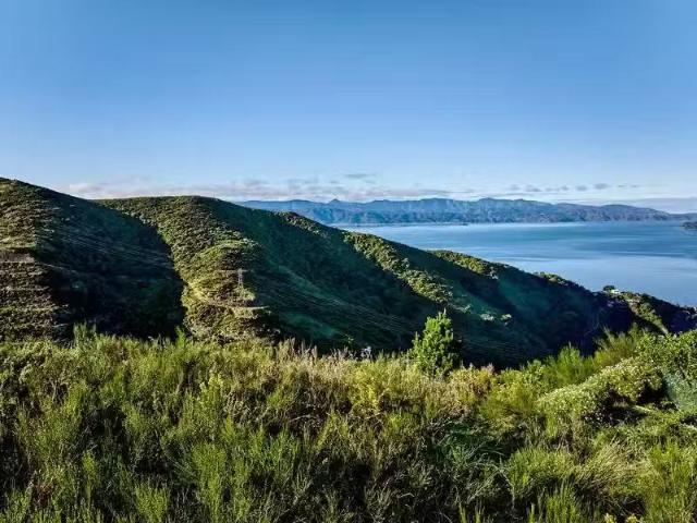 House for sale in Matata, Wellington