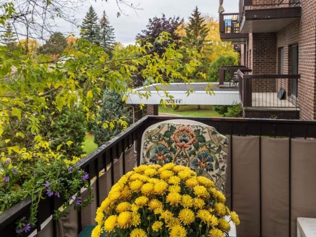 Apartment for rent in Dollard-des-ormeaux, Quebec