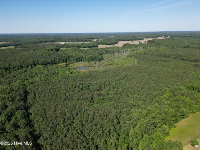 Land for sale in Enfield, North Carolina
