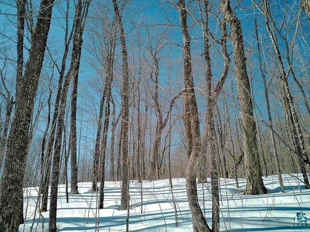 Land for sale in Lutsen, Minnesota
