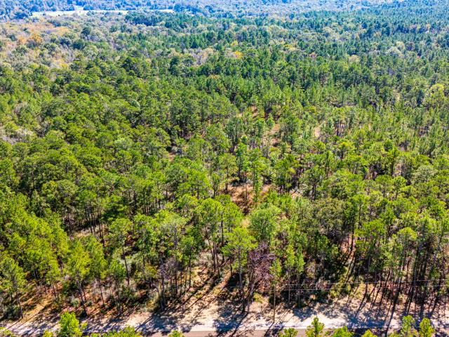 Land for sale in Polk, Texas