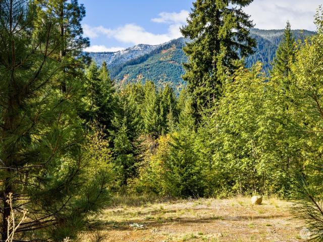Land for sale in Ronald