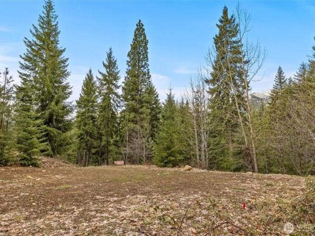 Land for sale in Ronald, Washington