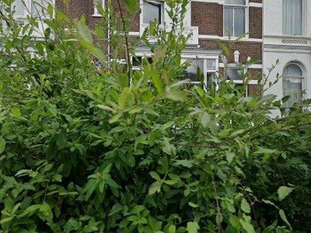 Kamer te huur in Nijmegen
