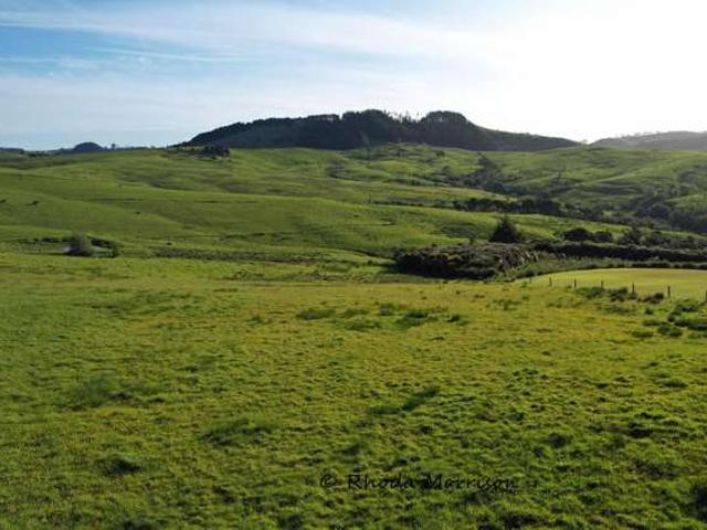 Property for sale in Matakohe, Northland
