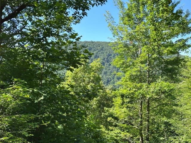 Land for sale in Black Mountain, North Carolina