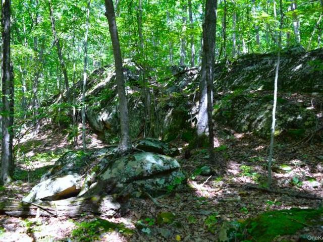 Land for sale in New York
