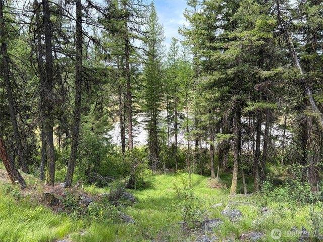 Land for sale in Oroville, Washington