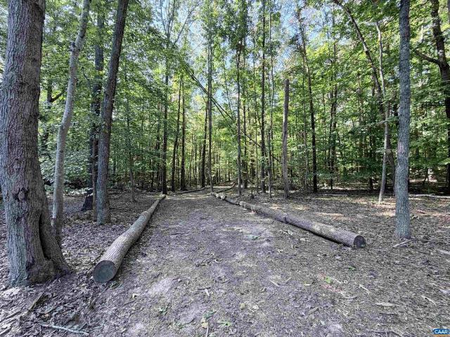 Land for sale in Shipman, Nelson County