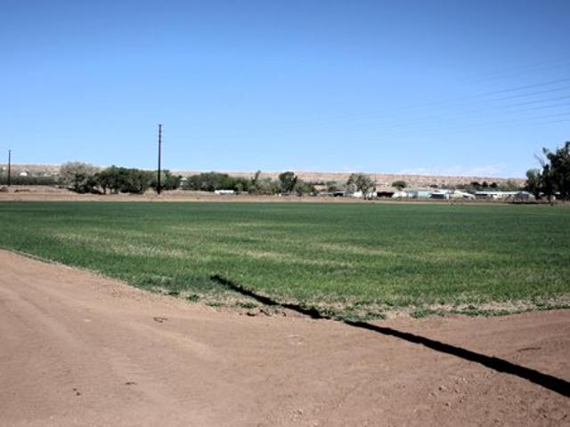 Land for sale in Belen, Valencia County