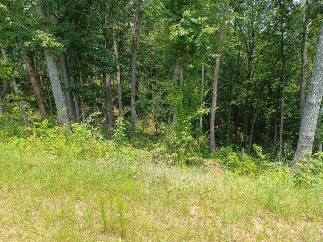 Land for sale in Gilmer, Georgia