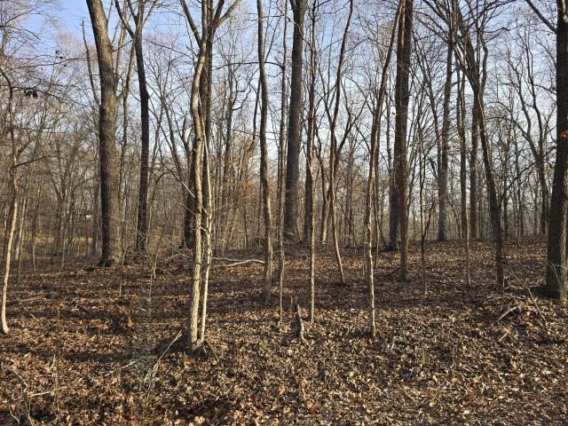 Land for sale in Cadiz, Kentucky