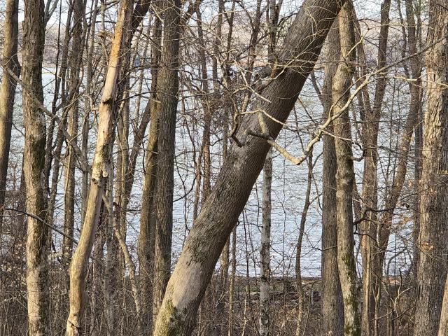 Land for sale in Cadiz, Kentucky