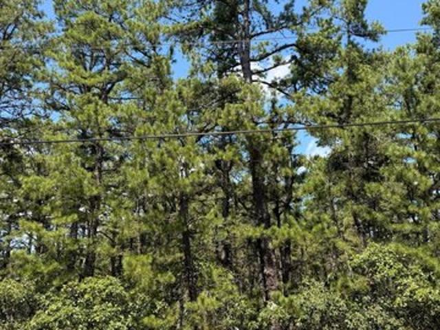Land for sale in Vincentown, New Jersey