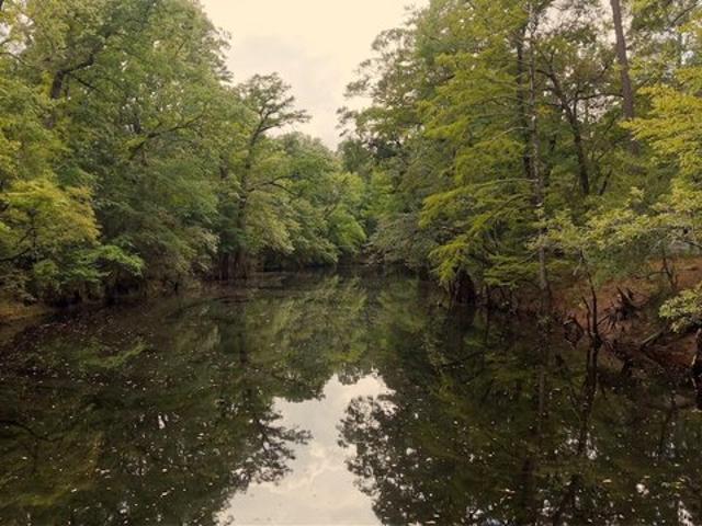 Land for sale in Burgaw, Pender County
