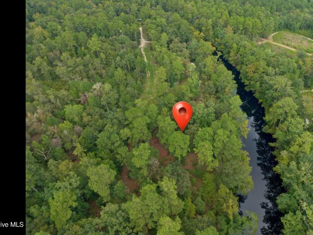 Land for sale in Burgaw, Pender County