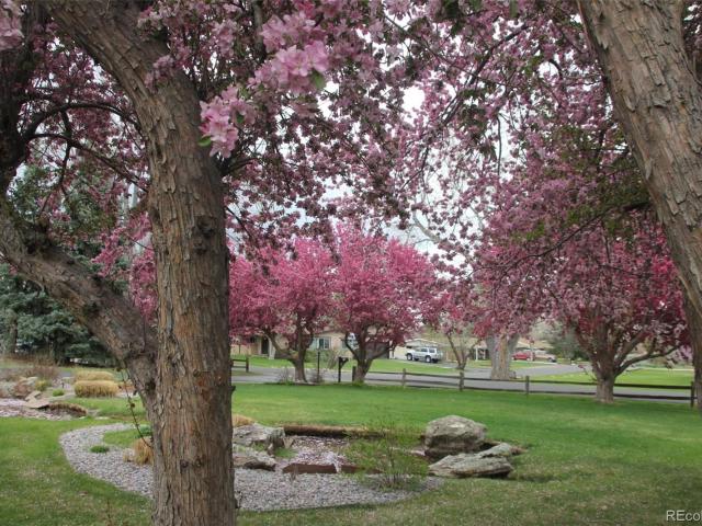 Property for rent in Wheat Ridge, Colorado