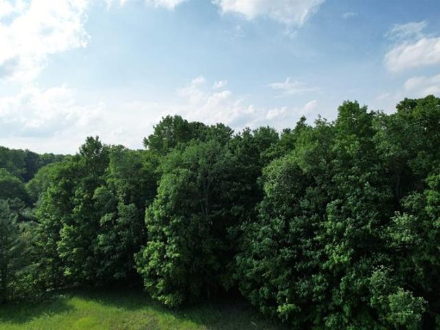 Land for sale in Mesick, Michigan