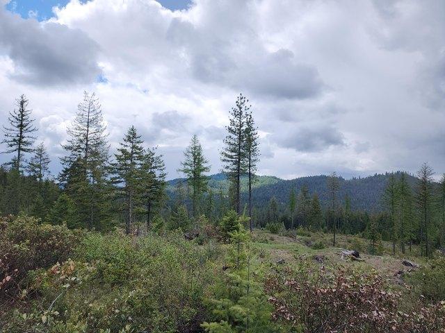 Land for sale in Newport, Washington