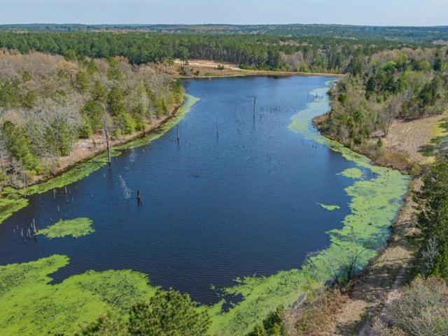 Land for sale in Linden, Texas