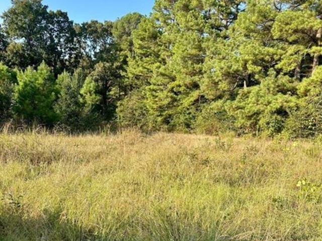 Land for sale in Pocahontas, Randolph County