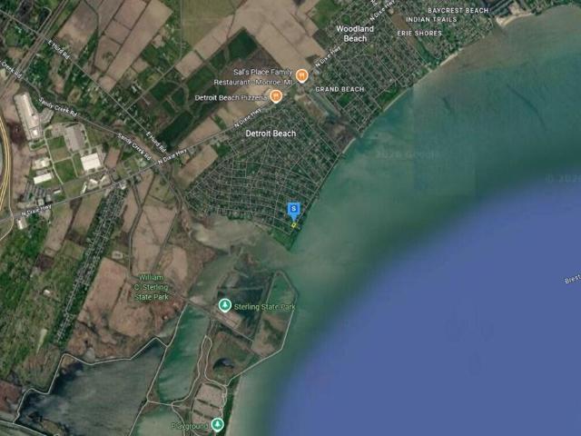 Land for sale in Newport, Michigan