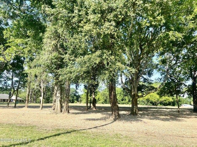 Land for sale in New Iberia, Iberia Parish
