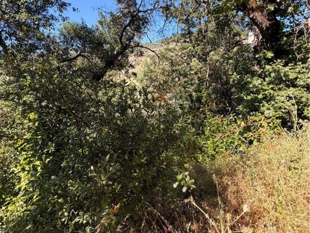 Land for sale in Lake, California